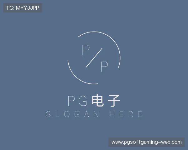 了解pg模拟器